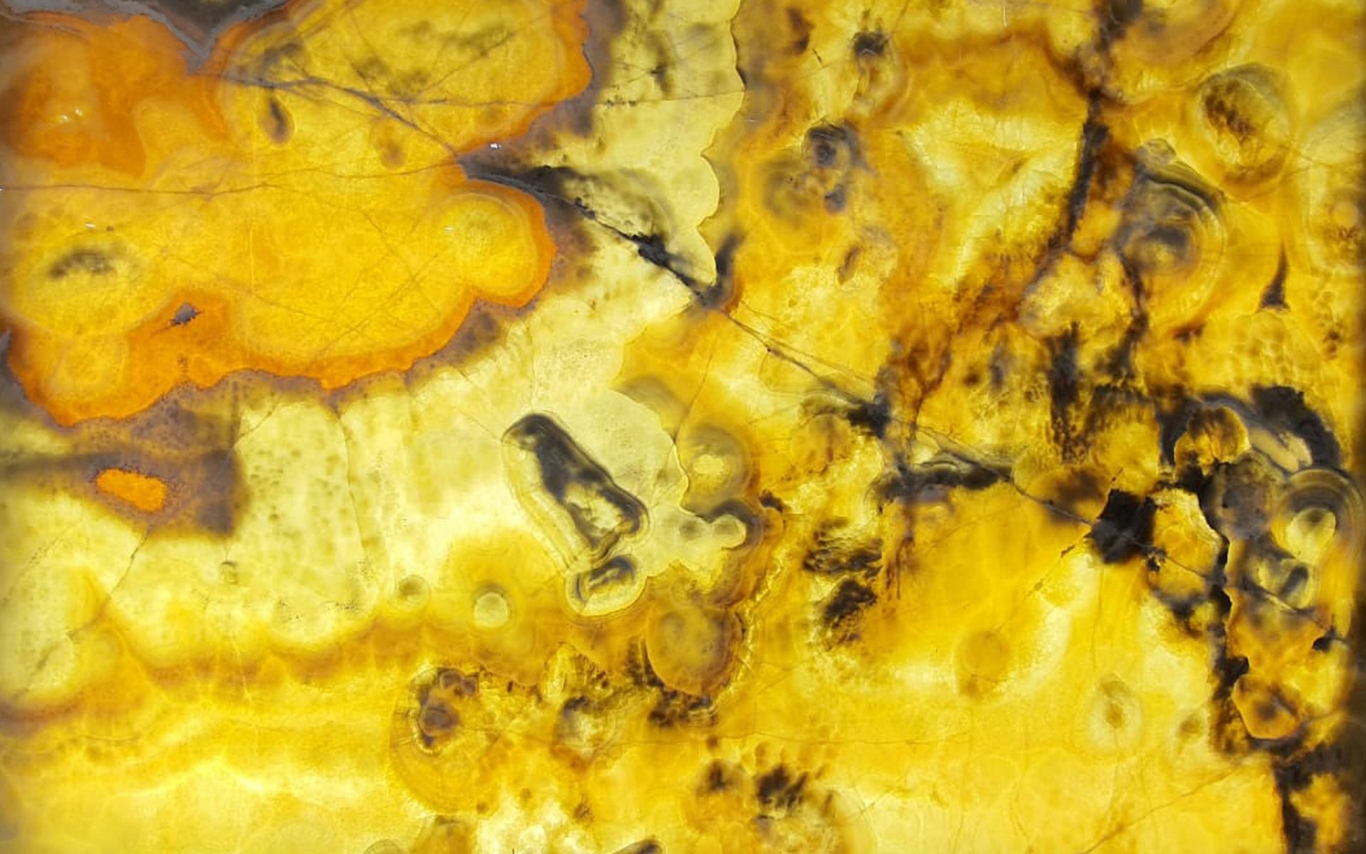 Butterfly Onyx