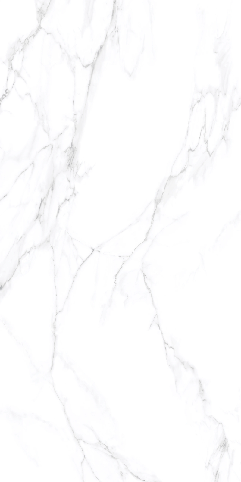 Colorado White