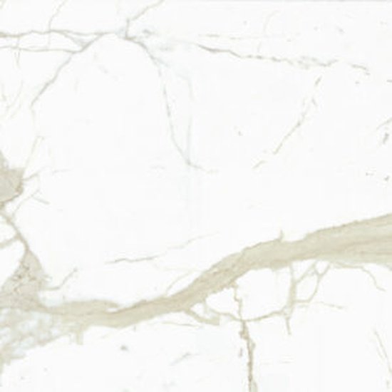 White Calacatta