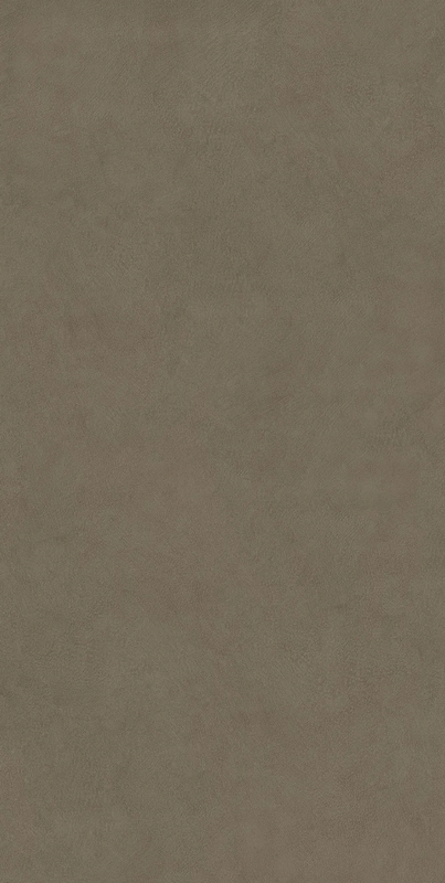 Plaster Ash